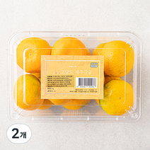 프레시픽 고당도 제주 감귤, 1kg(2S~M), 2개