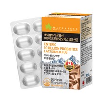 메이플트리 장용성 100억 프로바이오틱스 생유산균, 60정, 30g, 1개