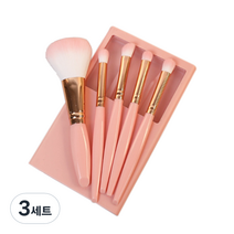 디에스 휴대용 멀티 브러쉬 5종 세트, 핑크, 3세트