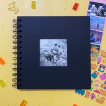 지금이순간 DIY 초음파 사진 앨범, 블랙, 20매