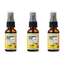 네추럴라이즈 비프로폴리스 스프레이, 3개, 30ml