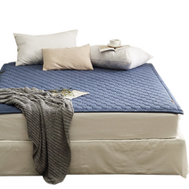 셀리온 인공지능 DC 카본매트 코지블루, 100 x 200 cm