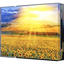퍼즐코리아 햇살 스며든 해바라기 들판 미니사이즈 직소퍼즐, 2000피스, 혼합 색상