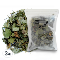 초능력 어성초 한약재료, 100g, 3개