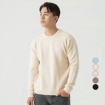 캐럿 남성용 데일리 라운드넥 니트 스웨터