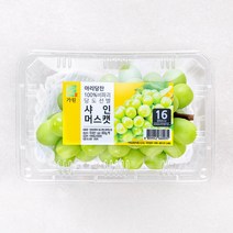 아리당찬 100% 비파괴 당도선별 샤인머스캣, 600g, 1팩