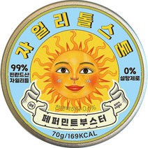 자일리톨 스톤 페퍼민트 부스터 70g, 1개