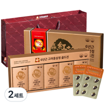 고려인삼유통 6년근 고려홍삼정 골드진 120정 + 쇼핑백, 60g, 2세트