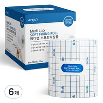 아텍스 메디랩 픽싱롤 부직포반창고, 6개