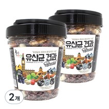 좋은세상 유산균 견과 스페셜, 2개, 600g