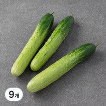 곰곰 국내산 백오이, 3입, 3개