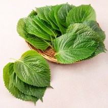 친환경 밀양 깻잎, 50g, 1봉