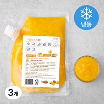 자일로스 담은 수제과일청 망고 (냉동), 1kg, 3개