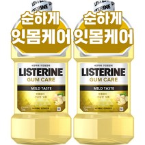 리스테린 검케어 마일드 구강청결제, 750ml, 2개