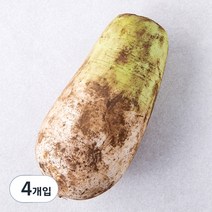 곰곰 친환경 무, 1개입, 4개