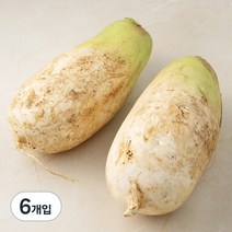 곰곰 국내산 무, 2개입, 3개