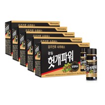 광동 헛개파워, 100ml, 50개