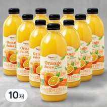 탐사 농장(愛)애 오렌지 주스, 1000ml, 10개
