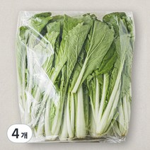 국내산 얼갈이, 1kg, 4개