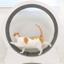 개츠비 고양이 캣휠 런닝머신 뉴디자인, 1개, 화이트(XL)