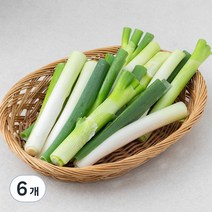 GAP인증 절단대파, 500g, 6개
