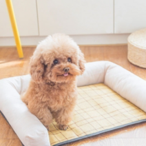 파스텔펫 반려동물 대나무 쿨 사각 방석, 연그레이