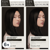나드 아르간 에센스 새치 염색제, 흑갈색, 6개