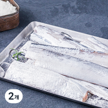 어획 바로 동결한 제주갈치 소금간 있음 (냉장), 450g(대 2마리), 2개