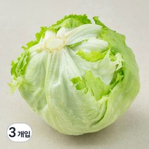 곰곰 친환경 양상추, 1개입, 3개