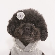 퍼피아 브리짓 반려동물 헤어핀 FREE, 아이보리, 1개