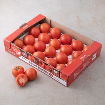 곰곰 GAP 완숙토마토, 4kg, 1개