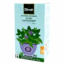 딜마 Funtea 페퍼민트, 1.5g, 20개, 1개