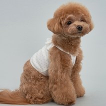 도그아이 반려동물 도트 크롭티, 화이트