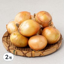 국내산 양파(소) (햇), 1.5kg, 2개