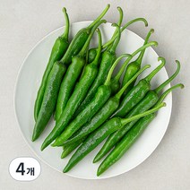 곰곰 국내산 풋고추, 300g, 4개