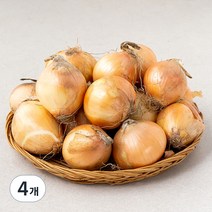 국내산 양파(짱아찌용), 3kg, 4개
