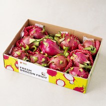 용과 9~12입, 5kg, 1박스