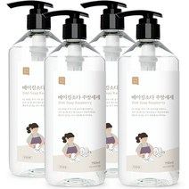 쉼표365 베이킹소다 주방세제 라즈베리향, 750ml, 4개