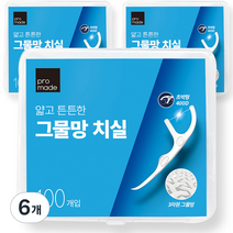 프로메이드 얇고 튼튼한 그물망 치실, 100개입, 6개