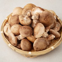표고버섯(특품) 국내산, 1kg, 1개