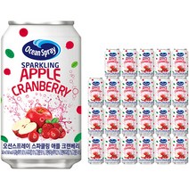 오션스프레이 스파클링 애플 크랜베리 탄산음료, 24개, 345ml