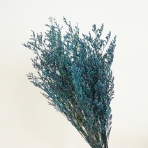 코코도르 미스티블루 드라이 플라워 한단, 블루