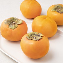 다조은 부유 줄단감 5개입, 1개, 1.2kg(2L)