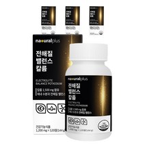 내츄럴플러스 전해질 밸런스 칼륨 포타슘, 4개, 120정