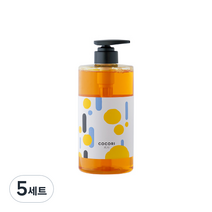 코코리제주 감귤 가득 1종 주방세제 750ml + 펌프 세트, 5세트