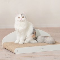 펫펫펫 고양이 쇼파형 평판형 원목 스크래쳐 본품, 1개