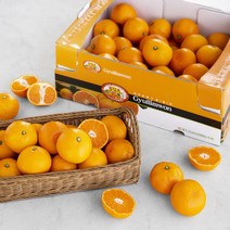 귤림원 GAP 인증 당도선별 하우스 감귤, 5kg, 1개