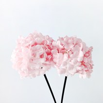 포시즌 디퓨저 스틱 미니수국, 핑크, 2개입