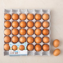 곰곰 무항생제 신선한 중란 30구, 1개, 1.32kg