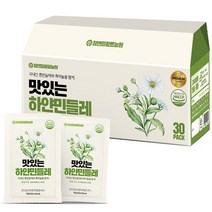 맛있는 하얀 민들레, 2700ml, 1개